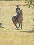 DSC06731