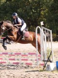 DSC03378 DSC03378