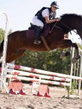 DSC03384 DSC03384