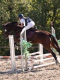 DSC03390 DSC03390