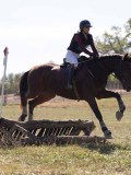 DSC04720 DSC04720