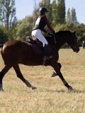 DSC04722 DSC04722