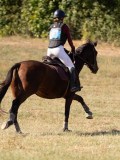 DSC04723 DSC04723