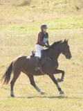 DSC06624 DSC06624