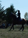 DSC_5967 DSC_5967