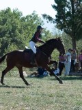 DSC_5970 DSC_5970