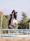 DSC03260