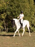 DSC05341 DSC05341