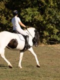 DSC05343 DSC05343