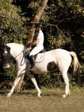 DSC05344 DSC05344