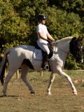 DSC05348 DSC05348