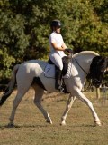 DSC05350 DSC05350
