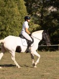 DSC05353 DSC05353