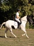 DSC05354 DSC05354