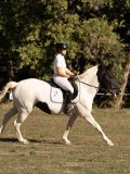 DSC05355 DSC05355