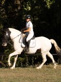 DSC05358 DSC05358