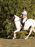 DSC05359 DSC05359