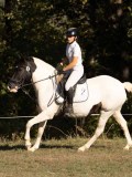 DSC05361 DSC05361
