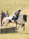 DSC06565 DSC06565