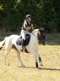 DSC06566 DSC06566
