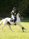 DSC06567 DSC06567