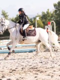 DSC02938 DSC02938