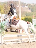 DSC02939 DSC02939