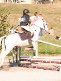 DSC02943 DSC02943