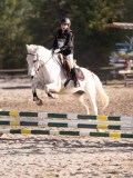 DSC02944 DSC02944