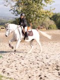 DSC02945 DSC02945