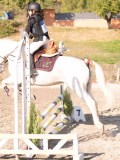 DSC02946 DSC02946