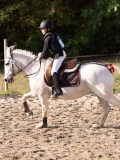 DSC02947 DSC02947
