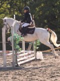 DSC02949 DSC02949