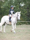 DSC_4853 DSC_4853