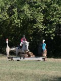 DSC_5579 DSC_5579