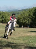 DSC_5585 DSC_5585