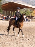 DSC02884 DSC02884