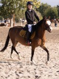 DSC02885 DSC02885