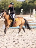 DSC02895 DSC02895