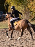 DSC02898 DSC02898