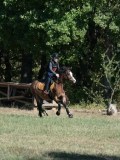 DSC_5704 DSC_5704