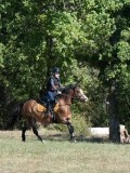 DSC_5705 DSC_5705