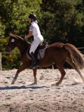 DSC04389 DSC04389