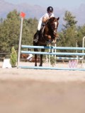 DSC04393 DSC04393