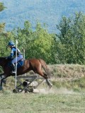 DSC_6185 DSC_6185