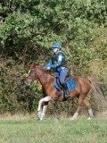 DSC_6186 DSC_6186