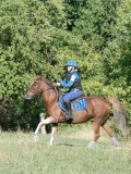 DSC_6187 DSC_6187