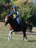 DSC_6192 DSC_6192