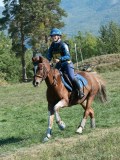 DSC_6193 DSC_6193