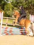 DSC08166 DSC08166